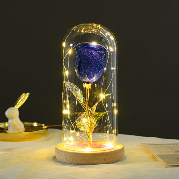 Valentines Day Gift  For Girlfriend Eternal Rose Flowers LED Light In Glass Cover Day Wedding Decoration Favors Mother Day Female Gift  Gift - Image 6