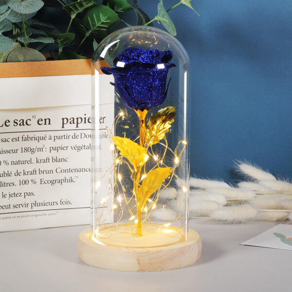 Valentines Day Gift  For Girlfriend Eternal Rose Flowers LED Light In Glass Cover Day Wedding Decoration Favors Mother Day Female Gift  Gift - Image 5