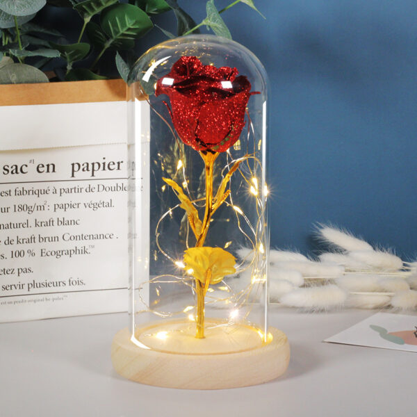 Valentines Day Gift  For Girlfriend Eternal Rose Flowers LED Light In Glass Cover Day Wedding Decoration Favors Mother Day Female Gift  Gift - Image 8